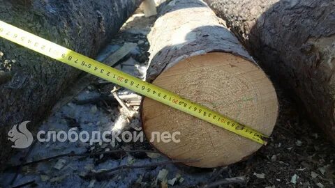 Бревно 24 диаметр