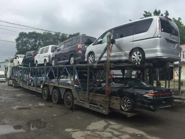 Автовоз владивосток. Стоимость автовоза новосибирск владивосток. Погрузка автовоза владивосток. Водитель фуры. Перевозка новосибирск владивосток.