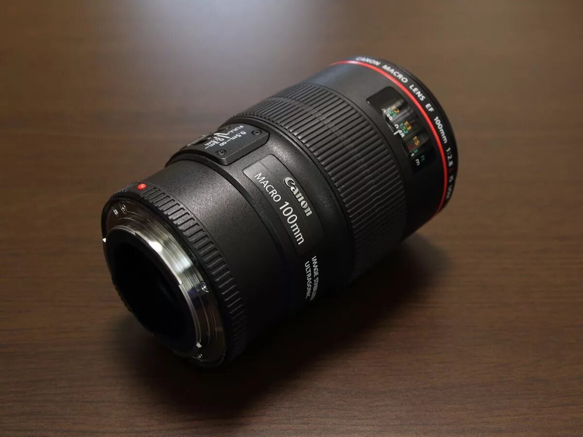 Canon 100mm 2.8 l