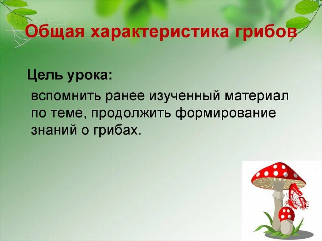 Общая характеристика грибов. Грибы общая характеристика. Царство грибы общая характеристика. Характеристика обыкновенных грибов.