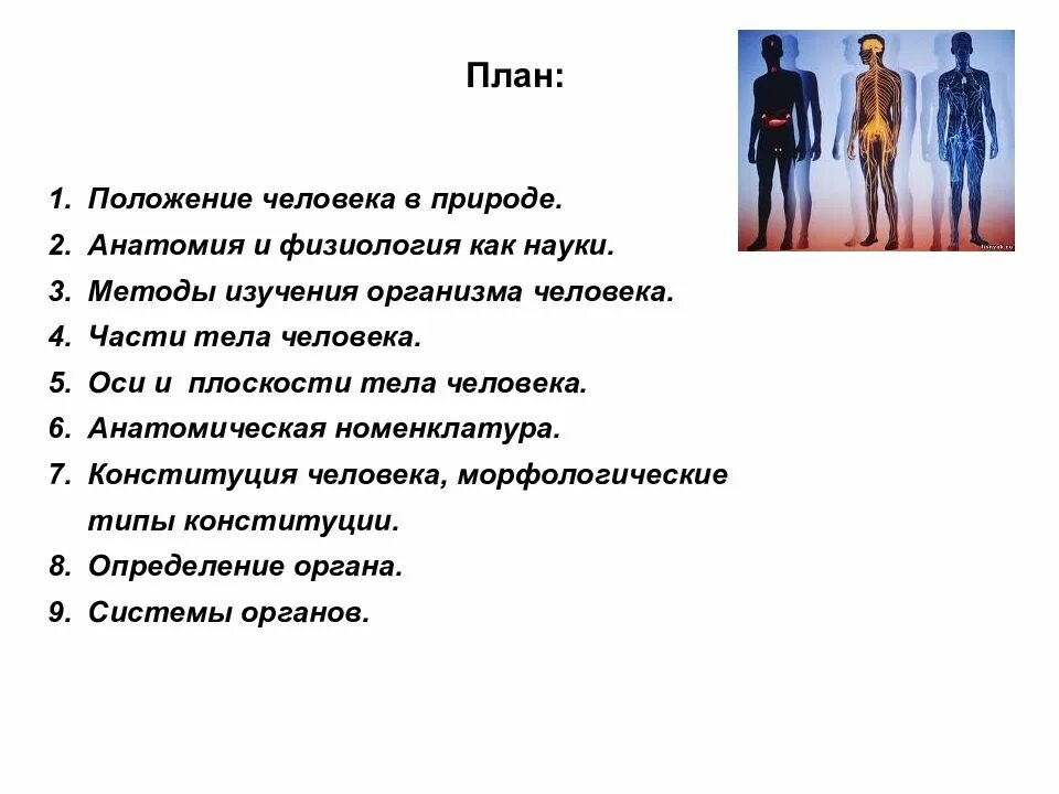 Методы изучающие анатомию