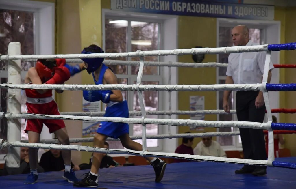 Солдатова Балаково администрация. Судья Солдатова Балаково. Балаково судья по боксу Седов.