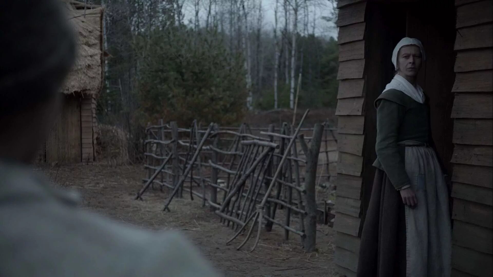 The witch is in. Ведьма (the vvitch: a new-england folktale), 2015. аня тейлор-джой ведьма 2015.