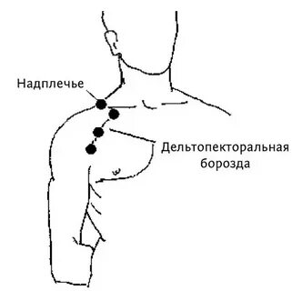 Верхняя грудная точка