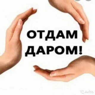 Биру даром