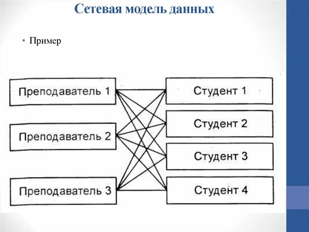 Организация сетевых моделей. Сетевую базу данных пример. Пример сетевой базы данных. Сетевая модель данных БД. Сетевая модель базы данных пример.