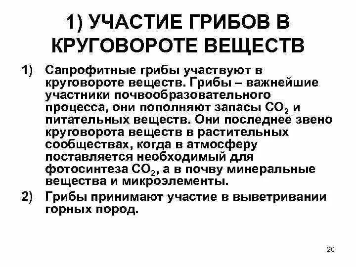 В круговороте веществ грибы играют роль. Участие грибов в круговороте веществ. Грибы участвуют в круговороте веществ. Роль грибов в круговороте веществ. Грибы участвуют в круговороте веществ в природе.