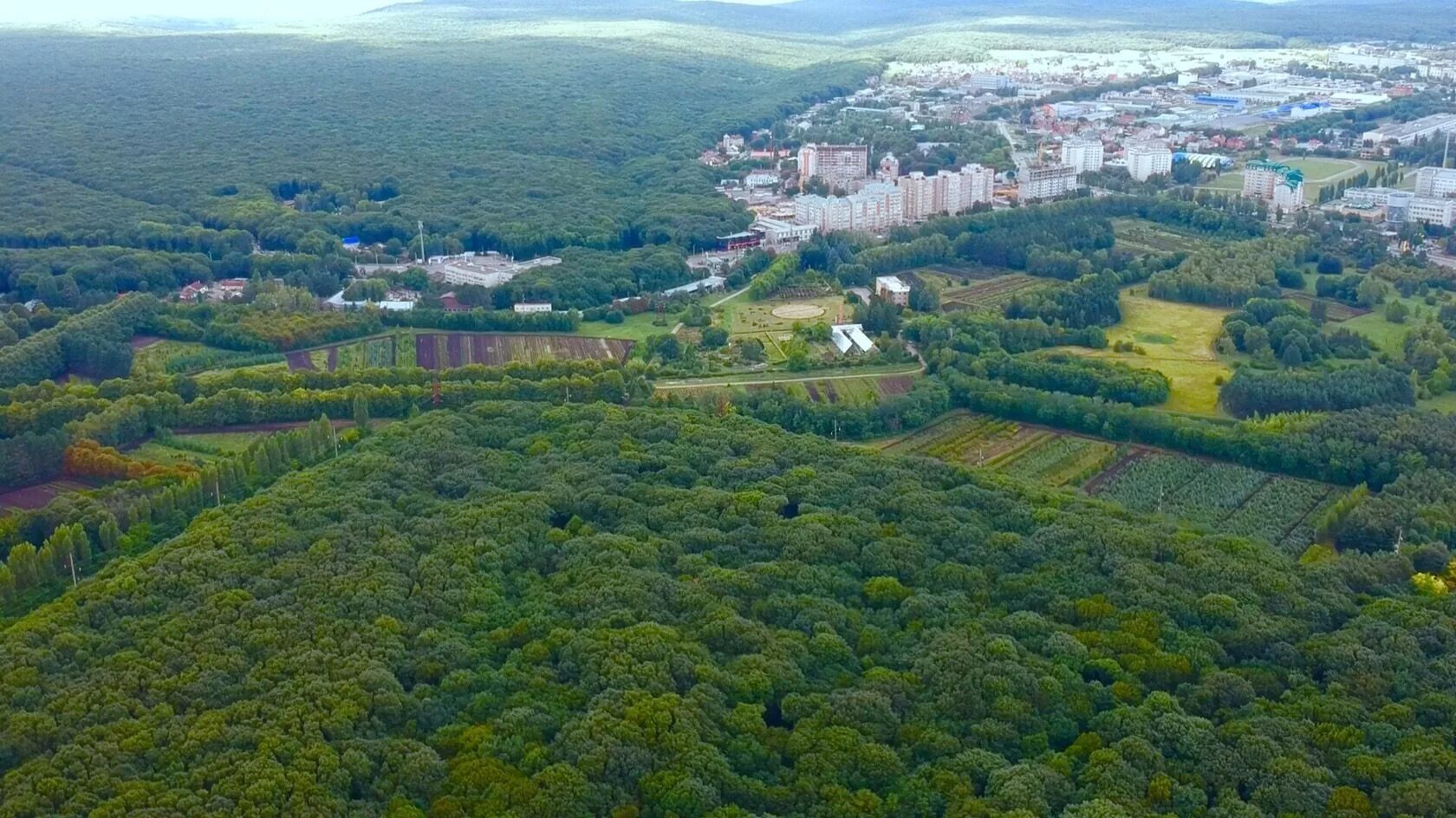 Село зелени. Ставропольский Ботанический сад Ставрополь. Парк Победы Ставрополь с высоты птичьего полета. Кругленький лес Ставрополь. Ставрополь лес с высоты птичьего полета.