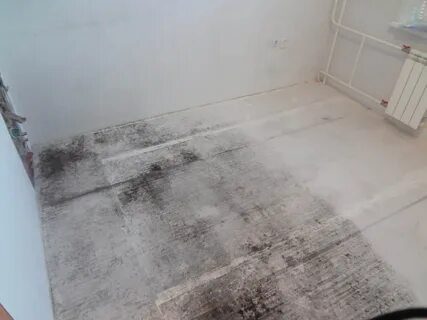 Удаление и уничтожение плесени и грибка на полу в Москве и МО