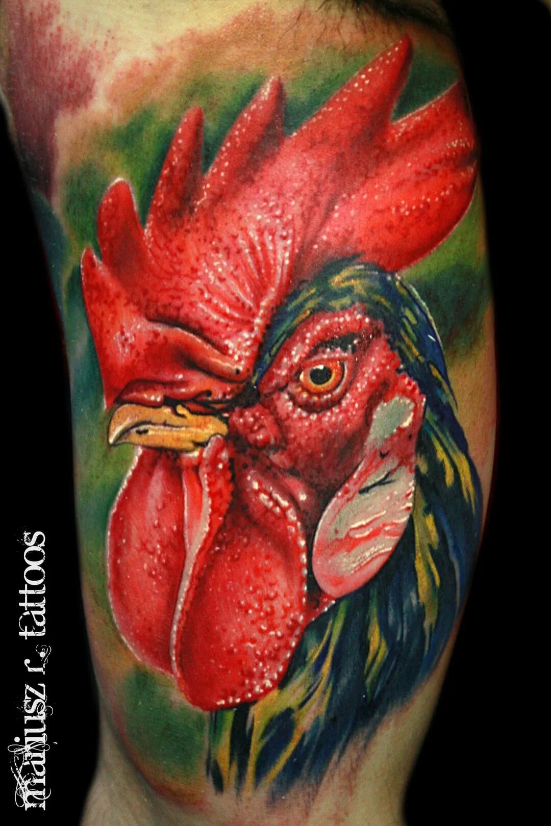 Тату петух. Наколки петухов. Татуировка петух. Петушиные тату. Петух на спине.
