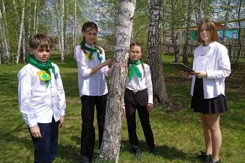 Школьный экологический