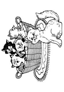 Нарисовать 5 котят