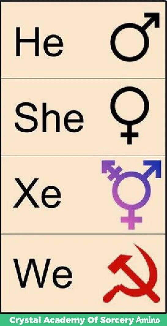 The first she