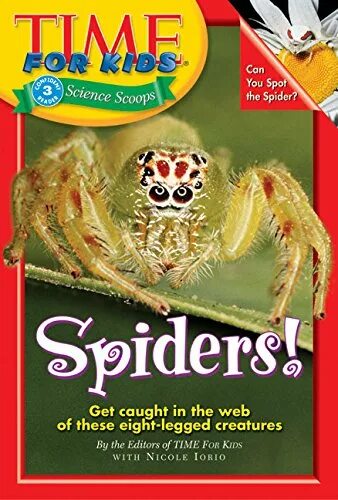 Magazine for Kids. A Spider has got eight Legs.