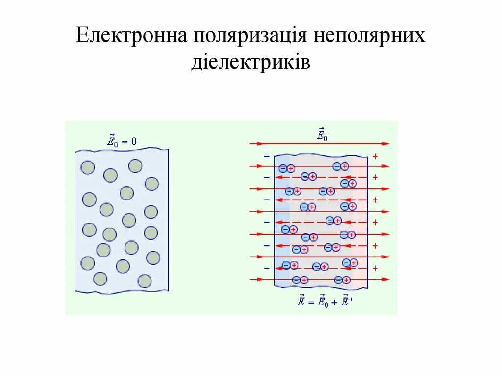 Неполярные диэлектрики в электрическом поле. Поляризация неполярных диэлектриков. Электронная поляризация неполярных диэлектриков. Неполярный диэлектрик в электростатическом поле. Дерево диэлектрик