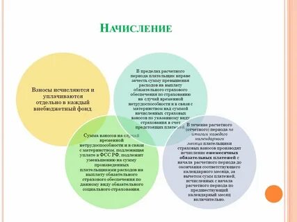 Виды страховых взносов плательщики
