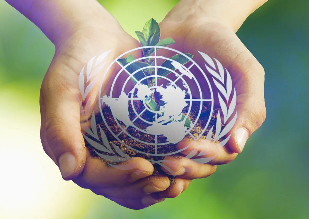 Conference series earth and environmental science