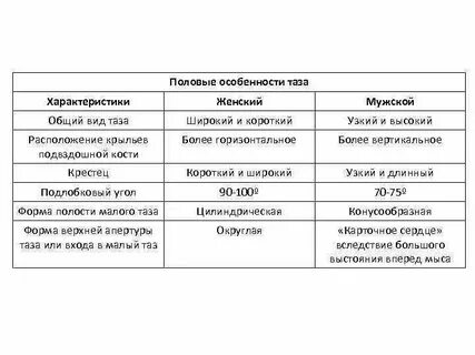Область половых губ