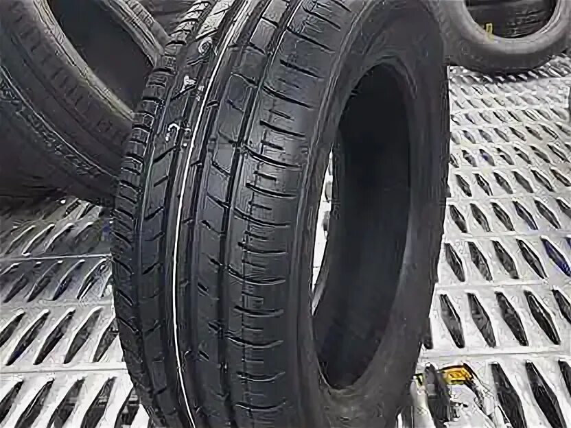 Шины dunlop sport fm800. Dunlop SP Sport fm800. Летние шины Dunlop SP Sport fm800. Dunlop SP Sport fm800 195/60 r15. Dunlop fm800 195/65 r15.