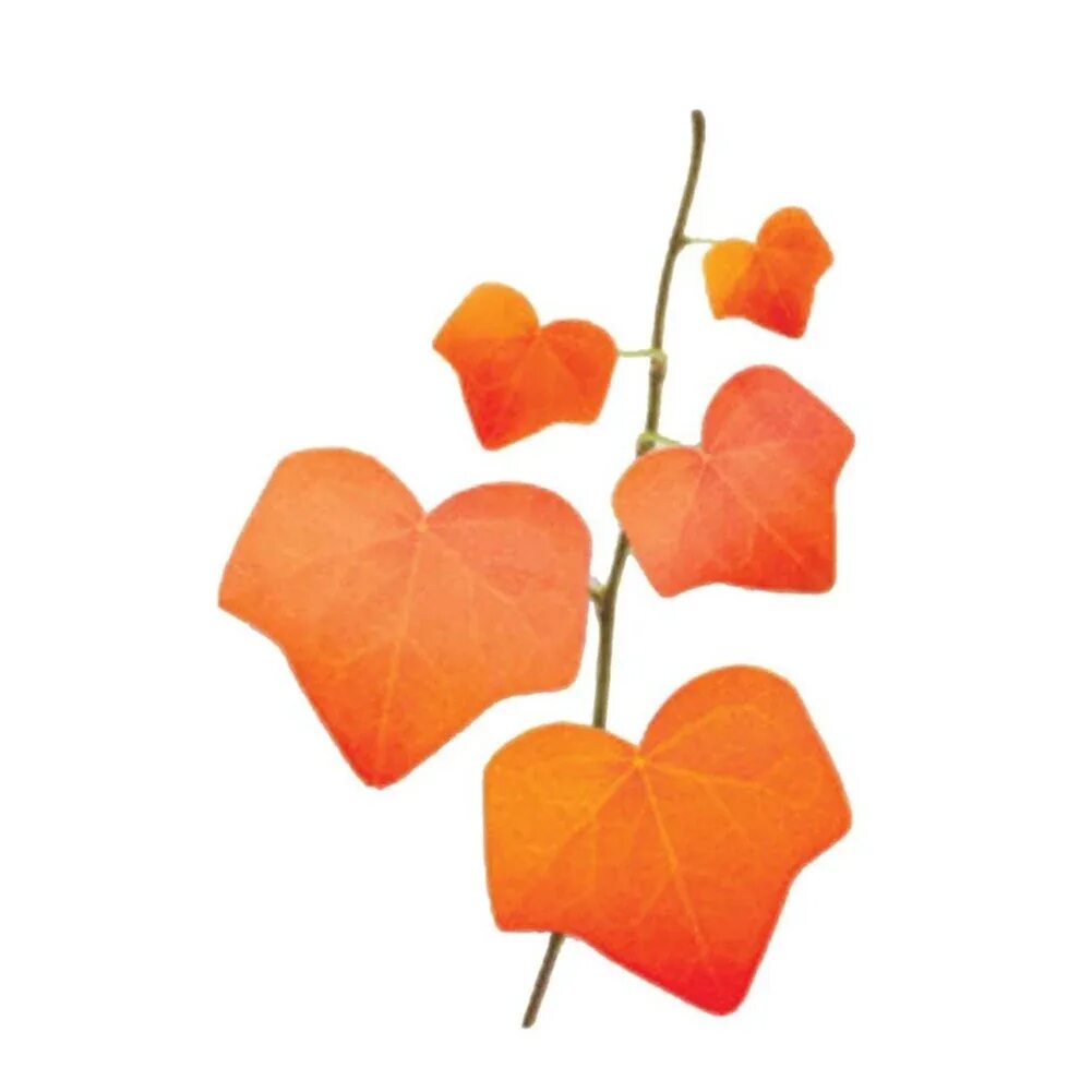 Sticky leaves. Leaves stickers. Sticky leaves. Logo notes leaf. Лист заметки всех цветов.