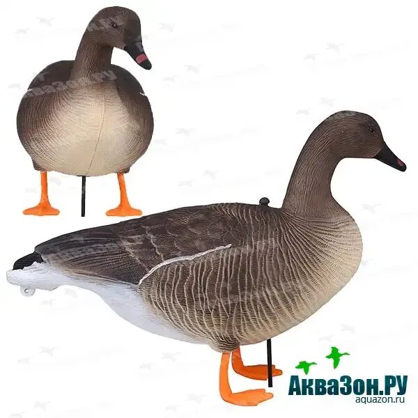 Аквазон чучела гусей. Аквазон ру товары для охоты. Плавающие чучела гусей higdon. Чучела белолобого гуся нордвей. Ру гуси чучела белолобого гуся.