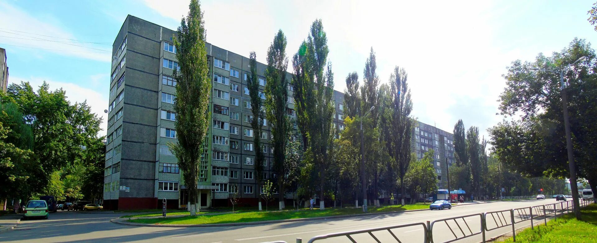 Гомель улица царикова