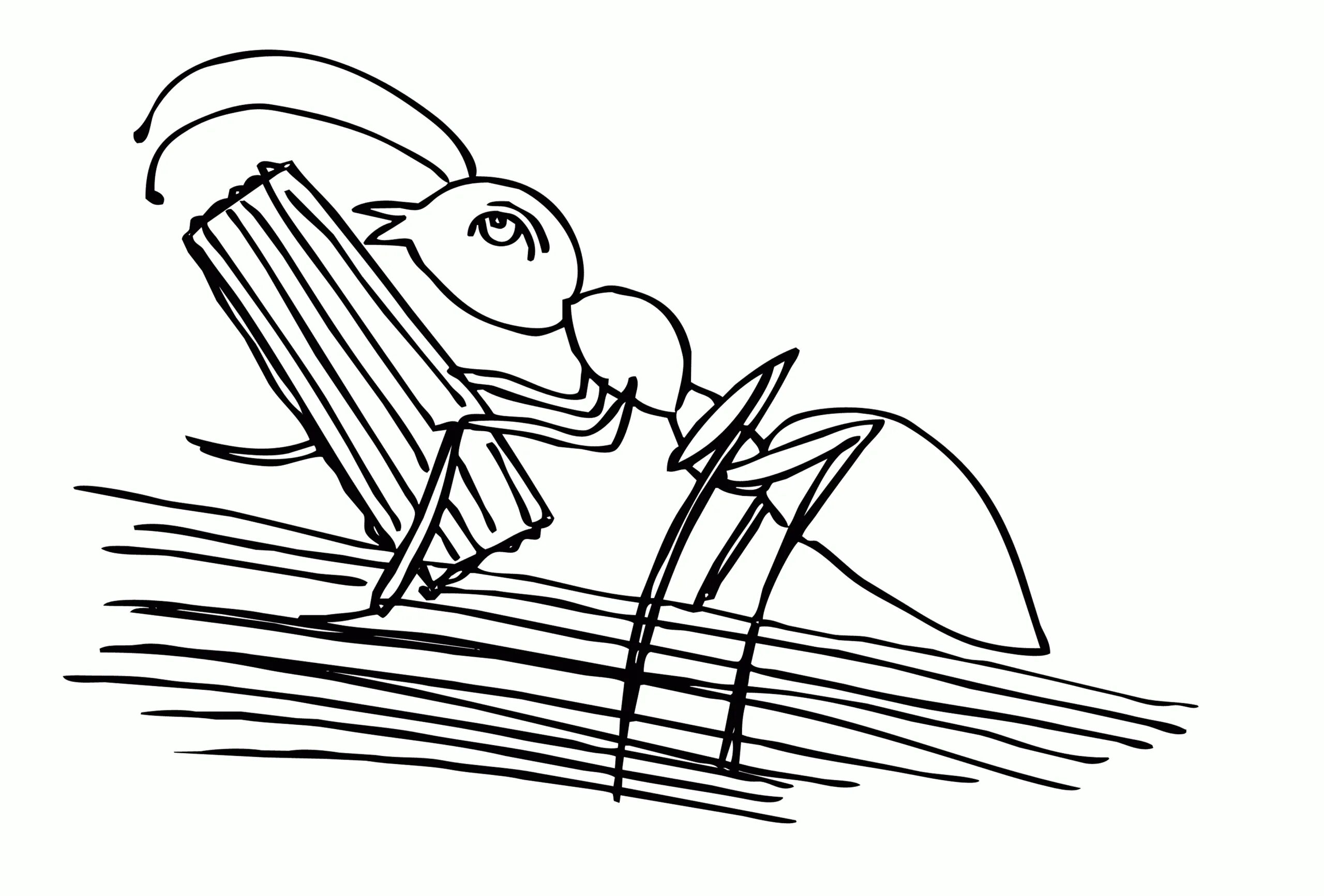 Раскраска муравей для детей распечатать Princess Dot Cool coloring pages, Disney coloring pages, Coloring pages for kids