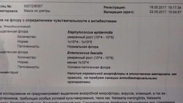 Энтерококк норма у женщин. Enterococcus faecalis при беременности норма. Энтерококк фекальный в моче норма. Enterococcus faecalis норма в мазке.