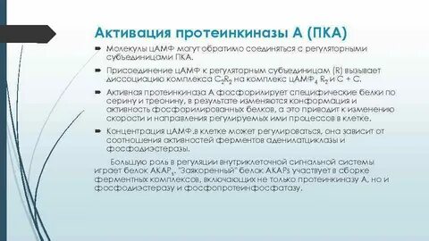 Протеинкиназа класс