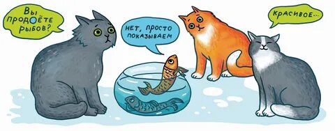 Мем про кота и рыбу