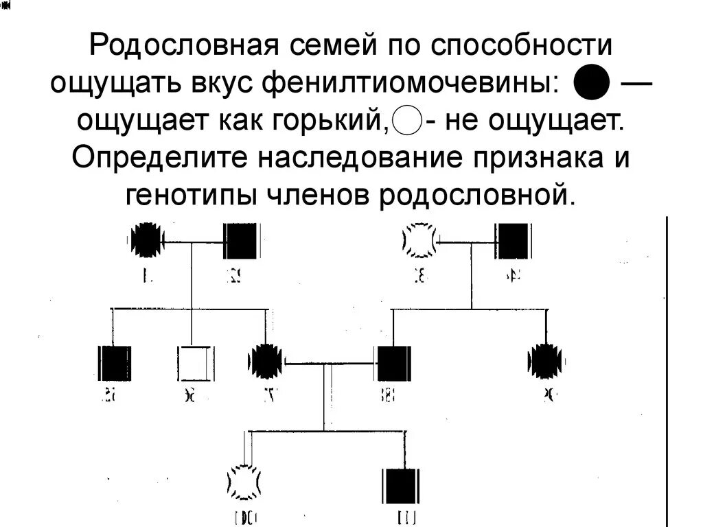 Задачи по родословной. Задания на родословную. Родословные задачи по генетике. Задачи по родословной с решением.