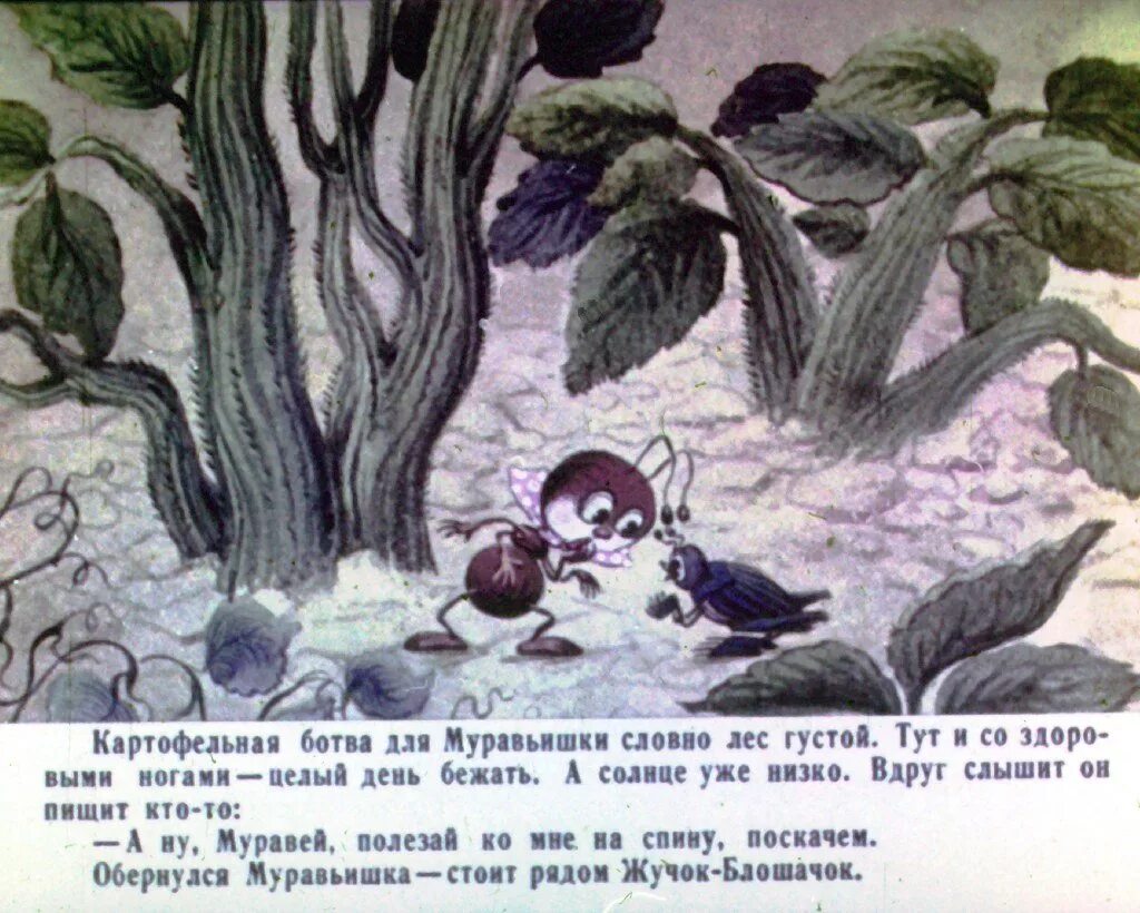 В. В. Бианки муравьишка домой спешил. План муравьишка домой спешил. Карта путешествия муравьишки.