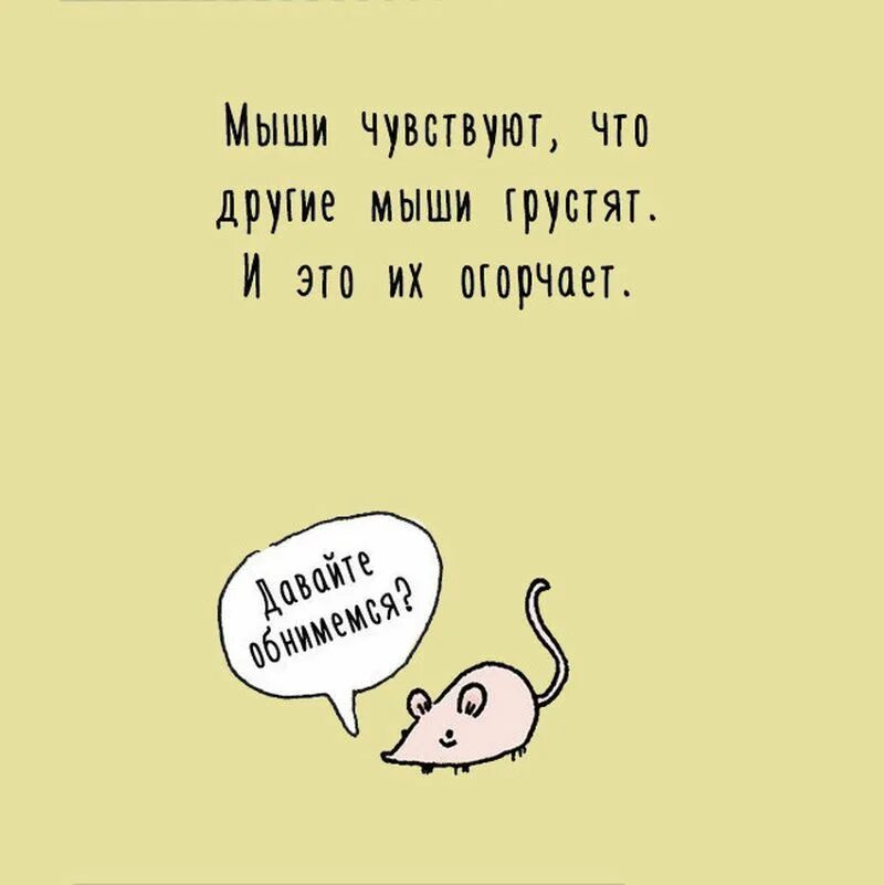 Интересные факты о животных 5 класс. Факты о животных. смешные факты о животных. интересныеифакты о животных. короткие факты о животных.
