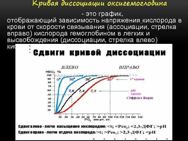 Изменение уровня кислорода. Кривая диссоциации оксигемоглобина. Кривая насыщения гемоглобина кислородом. Кривые диссоциации оксигемоглобина. Кривая диссоциации гемоглобина и ее сдвиги.