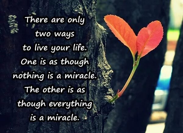 Live your ways. There are only two ways to Live your Life. There are only two ways to Live. There are only two ways. There are two ways to Live your Life.