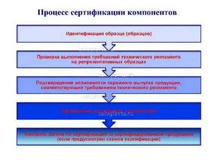 Процесс сертификации