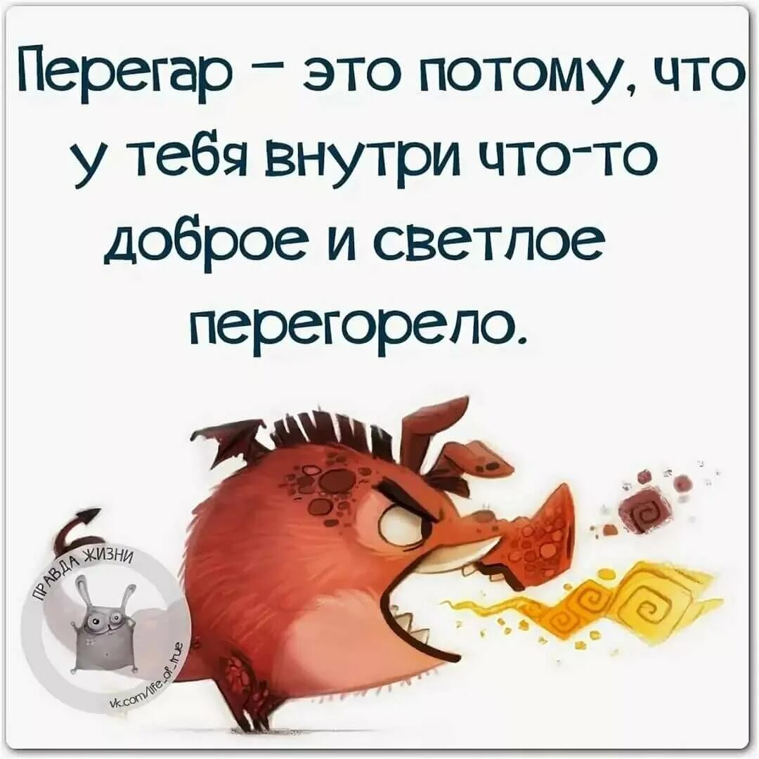 Прикольные картинки со смыслом надписями. Прикольные фразы. веселые цитаты. смешные высказывания. высказывания с юмором в картинках.