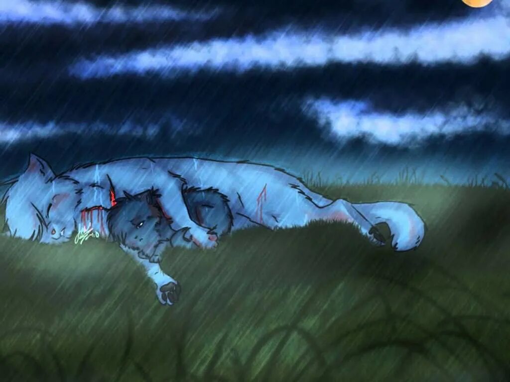 синяя звезда коты воители арт. коты воители лунное племя. коты воители. коты воители сумрачная звезда. коты воители лунница.