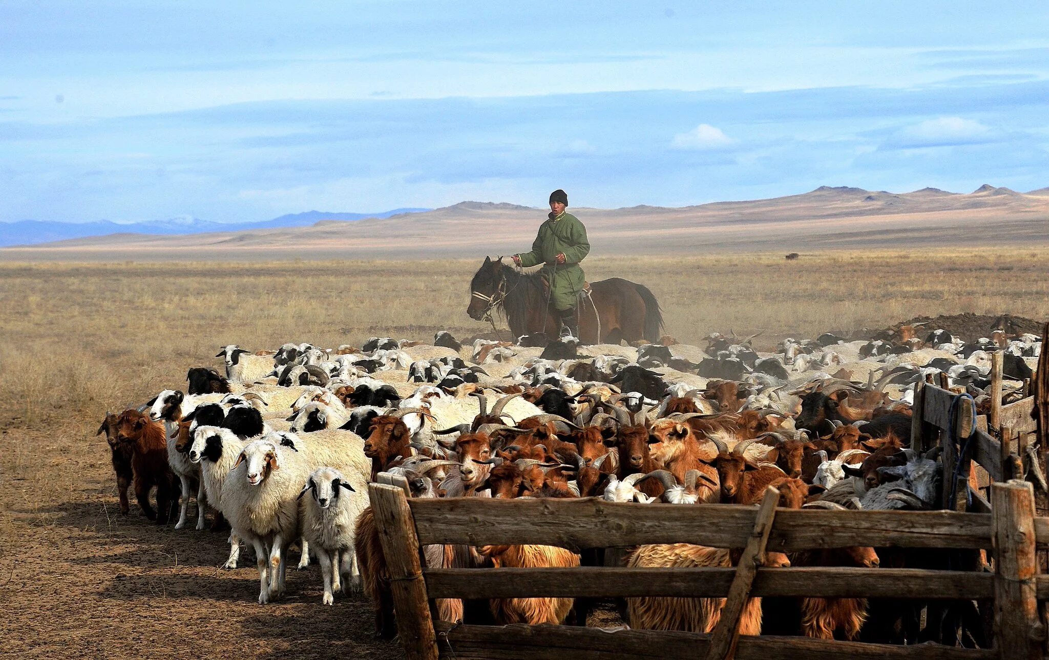 Министерство экономики тыва. Министерство экономики тыва лого. Рассказ о республике тыва. Программы республики тыва. Республика тыва экономика.