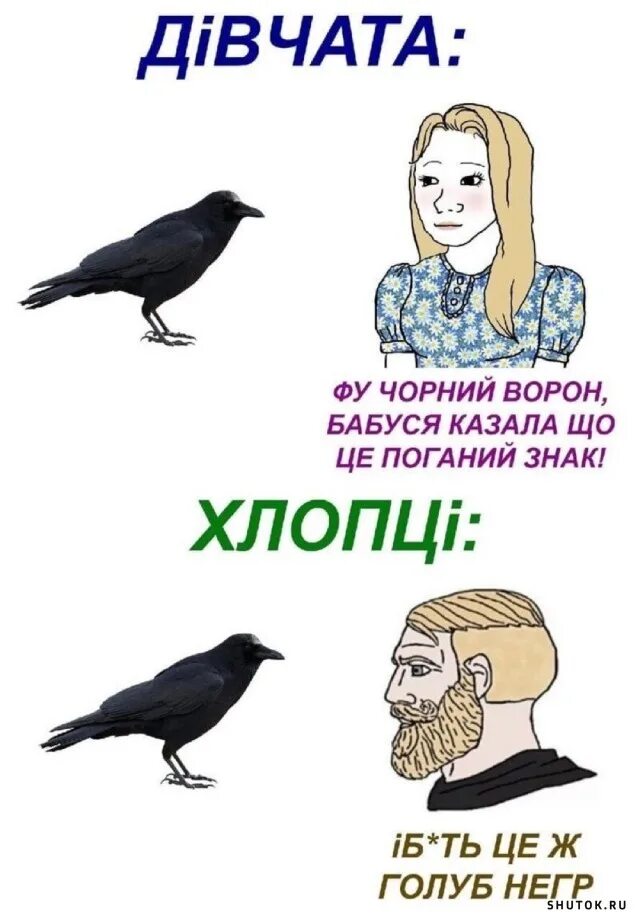 Це ж. Голубь негр Мем. Украинские мемы. Украинский голубь Мем. Украинские мемы на украинском.