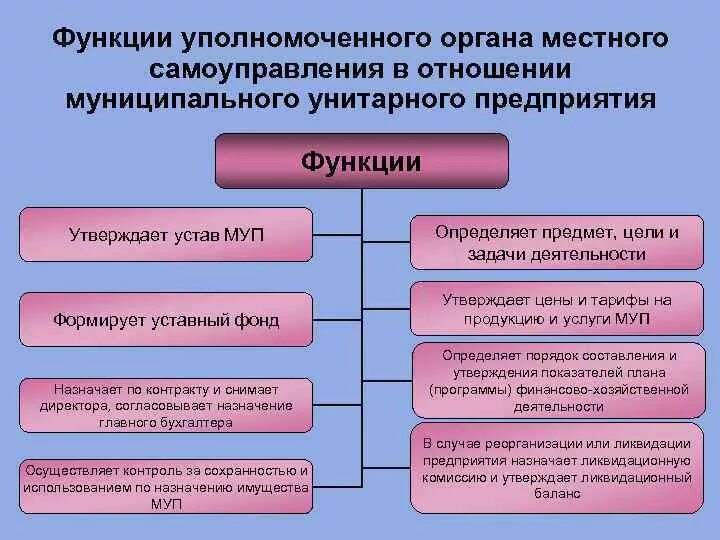 Функции муниципального управления организация. Функции органов местного самоуправления. Муниципальное унитарное предприятие. Функции унитарного предприятия. Муниципальное унитарное предприятие органы управления.