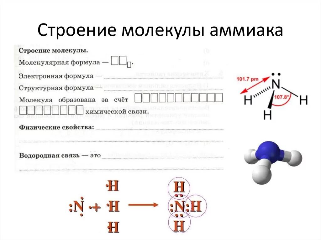 Nh 3 связь. Электронное Графическое строение аммиака. Электронная формула азота и аммиака. Особенности строения атома аммиака. Строение молекулы аммиака электронная формула.