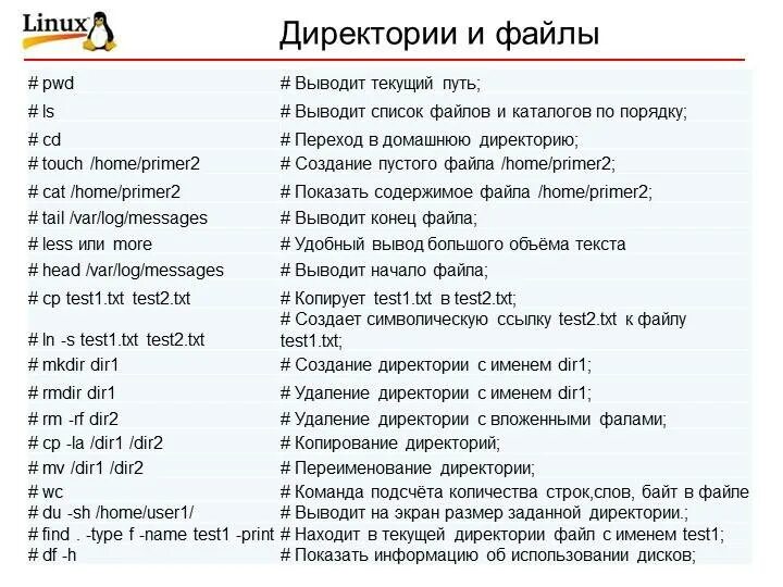 Назовите имена программ файл txt