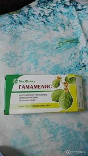 Гамамелис суппозитории