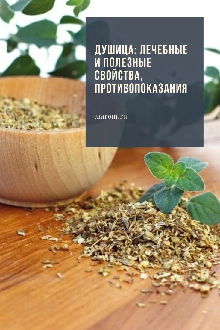 Трава душица применение дома в чай отчего. Лекарственное растение душица обыкновенная противопоказания. душица поле. душица трава полезные. душица противопоказана.
