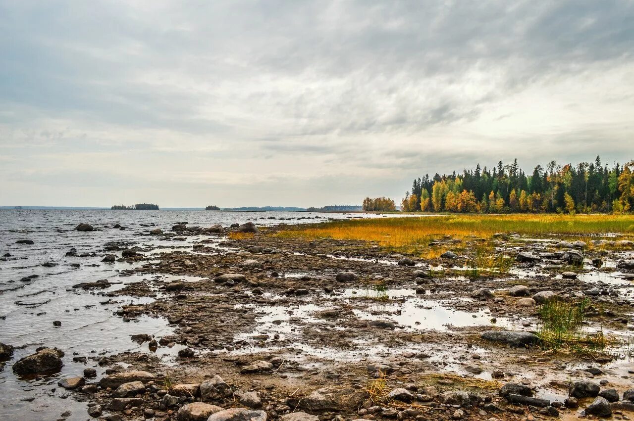 Водлозерский национальный парк. Водлозерский национальный парк Карелия. Водлозерский национальный парк рельеф. Водлозерский национальный парк растения. Водлозерский парк сайт