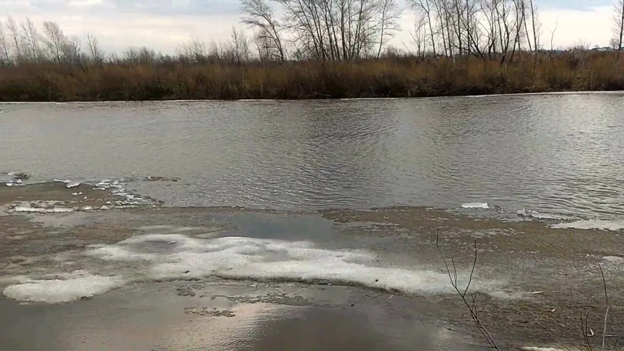 Тобол в реальном времени. Тобол Курган. Тобол наводнения в Кургане. Река Тобол в Тобольске. Ялуторовск река Тобол.