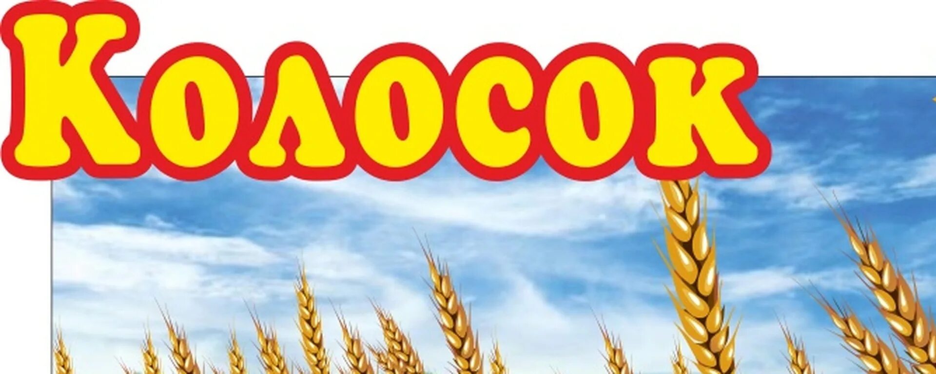 Ячмень лисохвост. Фон для детского сада колосок. Косы пшеничные. Пшеница. Адрес колоска.