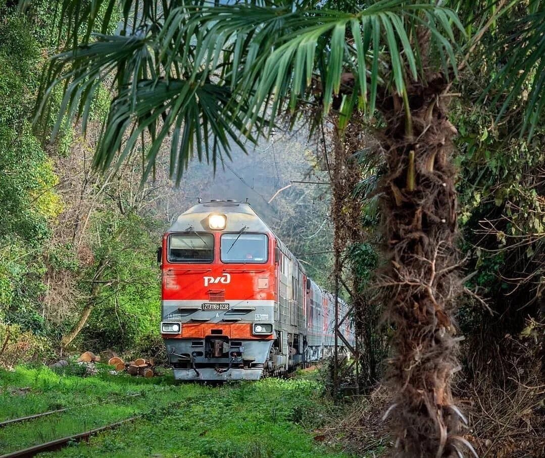 Туристический поезд в абхазию. Абхазия железная дорога Сухум. Железная дорога Туапсе Сухум. Вл10 перегон Туапсе Гагра. Абхазия железная дорога 2003.