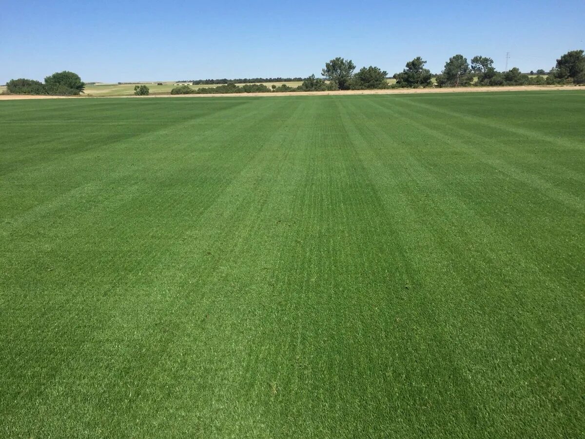 Карта «southwind fields» для farming simulator 2019. V field. V field. V field. Карта «southwind fields» для farming simulator 2019.